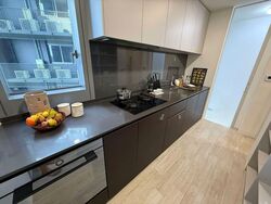 Amber Park (D15), Condominium #554110761